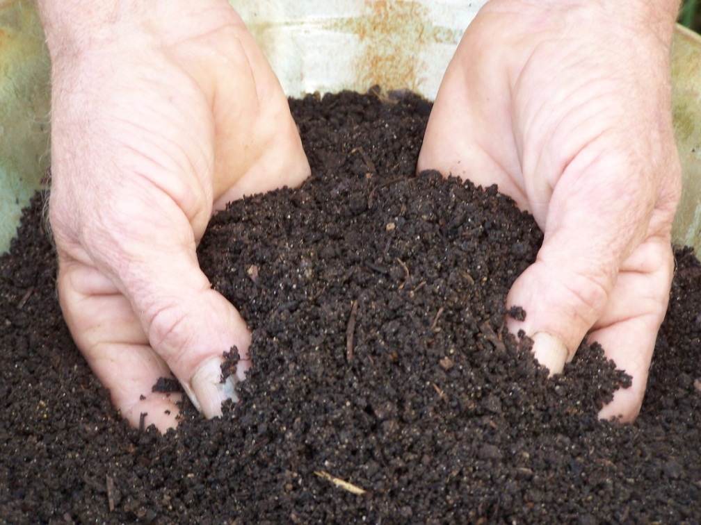 A Successful Guide of Bokashi Composting